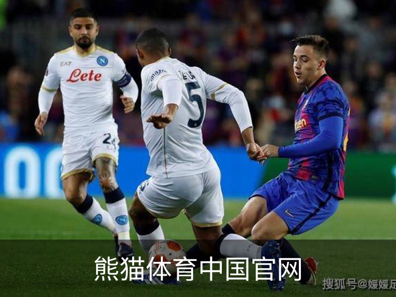 熊猫体育中国官网简介